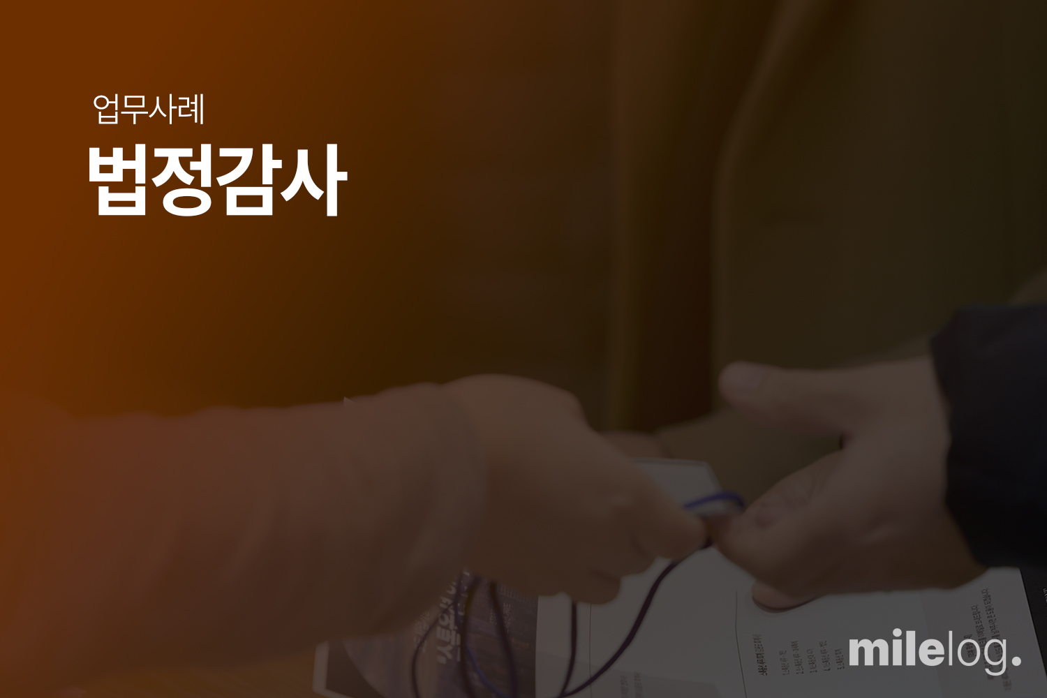제조 및 도소매업을 영위하는 A사 24년 법정감사 수행