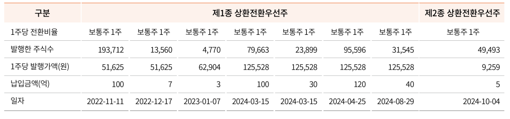 티오더의 상환전환우선주 발행가액 및 투자 유치 내역을 정리한 재무 분석 도표